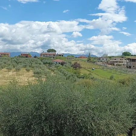 Oliveto Relax Turistico