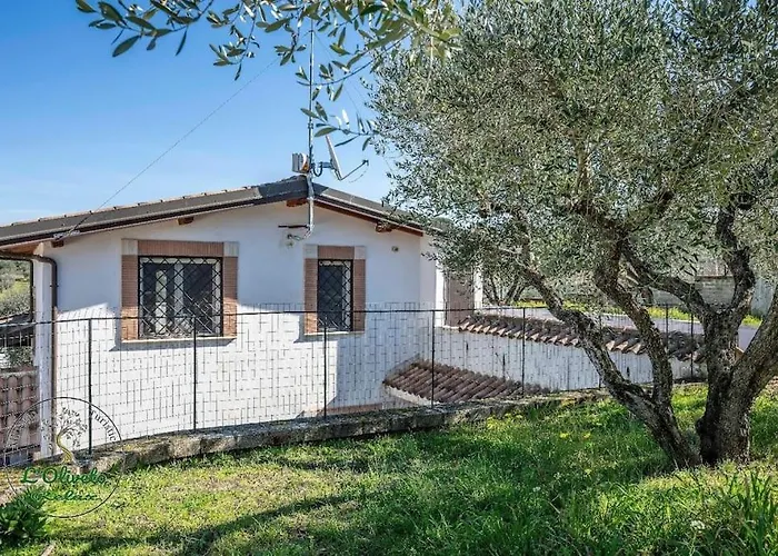 Oliveto Relax Turistico *